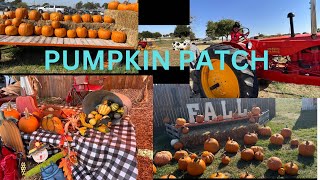 AMERICA lo PUMPKIN PATCH  DALLAS  TELUGU VLOGS from USA [upl. by Hoffmann]