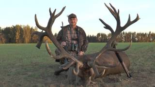 Viele Hirsche wurden erlegt  spannende Jagdszenen  Hirschbrunft 2016 Verlosung des Gewinnspiels [upl. by Mccartan]