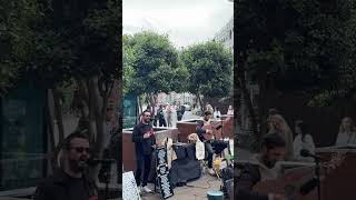 Listen and relax shorts dublin travel music ireland mood keywest streetmusic [upl. by Panta]