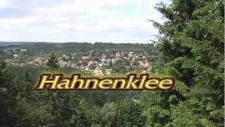 Hahnenklee Sommerrodelbahn [upl. by Lesli]