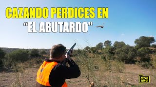 CAZANDO PERDICES EN EL ABUTARDO [upl. by Enortna]