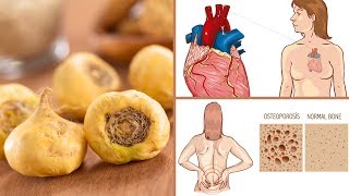 10 Amazing Maca Root Benefits for Men and Women [upl. by Candy43]