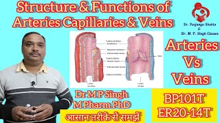 Structure amp Functions of Arteries Capillaries Veins  Differences in Artery amp Vein  HAPI  BP101T [upl. by Notgnimer]