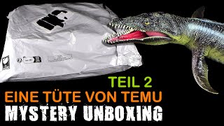 Mystery Unboxing  eine Tüte von Temu  Juni 2024  Teil 2 von 2  Fazit  Meinung  Danke Less [upl. by Iznekcam363]