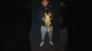 Sazan Avı Kahraman Maraş Göksun Adatepe Barajı Dip Oltası Solucan🧿🤗👏👏🎣🐬🐬🎣 sazanavi fishing carp [upl. by Silvan]