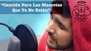 Canción Para Las Mascotas Que Ya No Están  Martín Tremolada [upl. by Aanas]