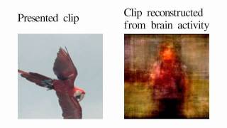 Movie reconstruction from human brain activity [upl. by Eimyaj]