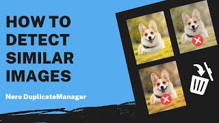 How to Detect Similar Images  Nero DuplicateManager Tutorial [upl. by Skippy]