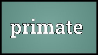 Primate Meaning [upl. by Arikal]