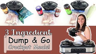 Dump amp Go 3 Ingredient Crock Pot Recipes  Dessert [upl. by Iow53]