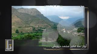 faqir muhammad darwish  دا افغانستان دی د باتورو ننګیالو وطن  پخوانۍ ترانه [upl. by Audwen]