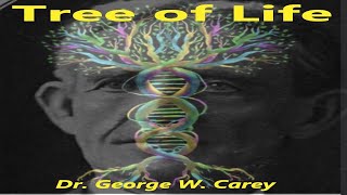 🌳🧠 Tree of Life Dr George W Carey Optic Thalamus  All seeing EYE Illustrated audiobook Gnosis [upl. by Leimaj]