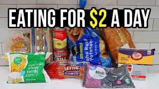 Eating for 2 a Day Cheap and Healthy Meal Ideas You Need to Try [upl. by Eppesuig]