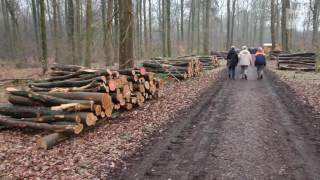 Holzauktion in Ganderkesee [upl. by Philine]