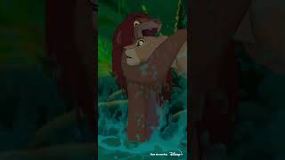 Best lion king song [upl. by Cain]