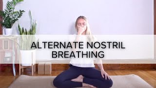 Alternate Nostril Breathing 5 min [upl. by Scheck857]