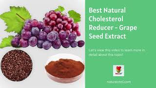 Natural Cholesterol Reducer Supplement  Grape Seed Extract [upl. by Nosreh]