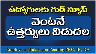 ఉద్యోగులకు గుడ్ న్యూస్ వెంటనే ఉత్తర్వులు విడుదల prcir pendingdabills apnews [upl. by Broeker]