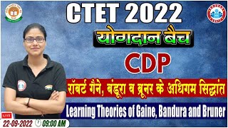 Learning Theories Of Gaine Bandura amp Bruner  CTET 2022  CDP for CTET 25  CTET CDP Classes [upl. by Kcirevam]