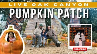 Live Oak Canyon Pumpkin Patch 2024  Redlands CA [upl. by Neenahs755]