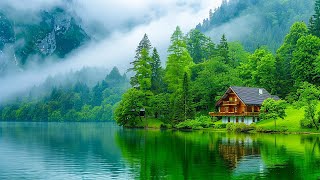 Beautiful Relaxing Music  Soothing Music for Stress Relief Inner Peace Calm Music 2 [upl. by Nomar254]