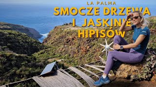 5 Smocze drzewa i jaskinie hipisów 🐉👣 La Palma Wyspy Kanaryjskie 🔭🏝️🌋 [upl. by Kohler]