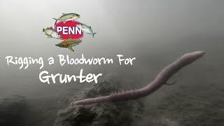 Rigging a Bloodworm For Targeting Grunter [upl. by Naujet]