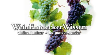 Burgunderwunder – WeinEntdeckerWissen OnlineSeminar [upl. by Sheppard920]