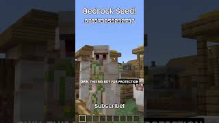 This Minecraft Bedrock Seed Has A Village That Wants To Get Colonized [upl. by Gustin121]