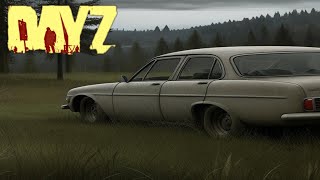 DayZ Black Forest [upl. by Close]