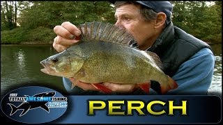 GIANT RIVER PERCH Fishing with Graeme Pullen Series 1  Episode 14  TAFishing [upl. by Meyers227]