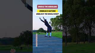 Dredge the meridiansqigong martialarts health [upl. by Lerraj]