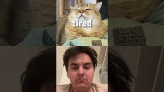 Tired song cat tired funny catlover cute pets pet duet kingdylang hairstyle ￼ [upl. by Dhiren299]