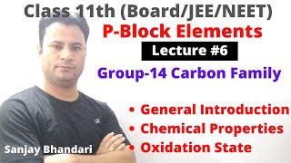 P Block Elements 6  Group14 Carbon Family  General Introduction  Chemical Properties [upl. by Erbua732]