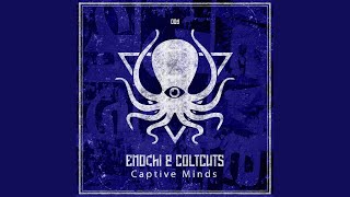 Captive Minds Original Mix [upl. by Lolande929]