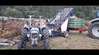 Brennholzsäge Eigenbau mit Eicher Sägeautomat Binderberger [upl. by Mond662]