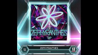 【SDVX VM】 ZEPHYRANTHES EXH PUC Hand Shot [upl. by Eoj]