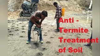 Anti termite treatment of soil [upl. by Rockefeller868]