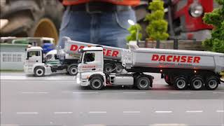 Mercedes Arocs amp MAN quotDachserquot  187 RC Mikromodell [upl. by Gnues]