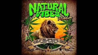 Natural Vibes Riddim Mix Full Feat Busy Signal Jah Cure Ginjah Lutan Fyah Pressure Feb 2024 [upl. by Jyoti787]