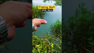 Fishing skills  latest carp fishing videos 2024  best carp reels fishing fish bait carp hook [upl. by Sidwohl125]