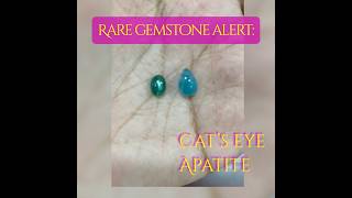 Rare gemstone alert cat’s eye apatite that shows chatoyancy for sale [upl. by Springer268]