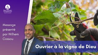 Sabbat 29072023 – Ouvrier à la vigne de Dieu – Wilhem C [upl. by Pazia]