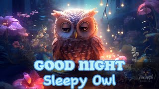 Good Night Sleepy OwlChildren’s Sleep Music [upl. by Hadwyn]