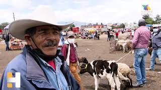 MERCADO DE ANIMALES VIVOSLLEVA SIGLOS EN EDOMEX Y ES UNA LOCURA VER REMATES DESDE CONEJO A VACA [upl. by Ecnerwal]