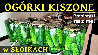 186 –Przepis na OGÓRKI KISZONE w słoikach –Domowe przetwory na zimę Jak kisić ogórki Probiotyki [upl. by Roselin186]