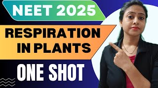 Respiration in Plants  One Shot  Full Chapter  Class 11  NEET 2025  neet tanujabiostudies [upl. by Kutzenco613]