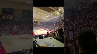 Navijanje Crvena zvezda  Alba crvenazvezda euroleague kosarka [upl. by Enymzaj]