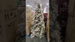 watch  Christmas Trees at Costco Video  For a YouTube Holiday  Fun Entertainment [upl. by Nwahsem891]