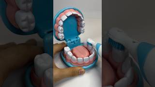 Dentistry toy set ASMR roleplay satisfying taps satisfying asmrsounds toys [upl. by Lanod147]